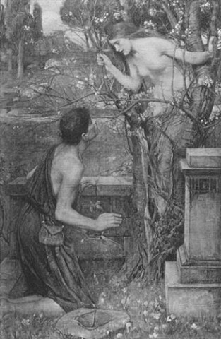 Η αμυγδαλιά – σύμβολο της ελπίδας