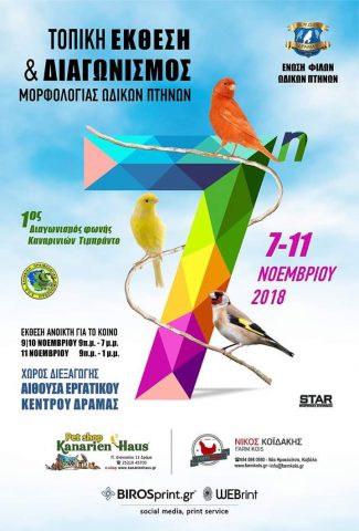 Ετήσιος Τοπικός Διαγωνισμός – Έκθεση ΕΦΩΠ 2018