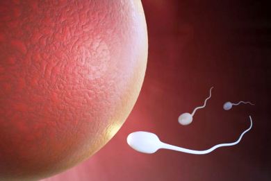 Σύλληψη αλλοδαπού δραπέτη φυλακών