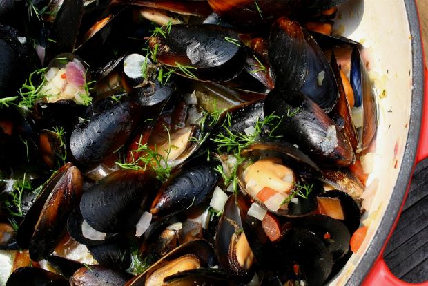 Πανελλήνιο πρωτάθλημα χειροσφαίρισης, ημιτελική φάση νεανίδων 16-17 Μαρτίου στην Προσοτσάνη.