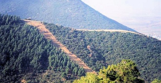 Ποικιλία από χυλωμένες φακές με λαχανικά και λάδι λευκής τρούφας