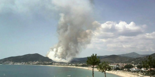 Μύθοι και αλήθειες για τα αποσμητικά