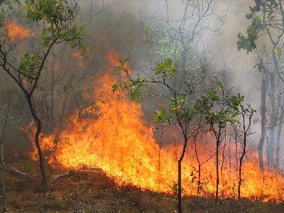 Άμεση επέμβαση των πυροσβεστών σε μεγάλη πυρκαγιά