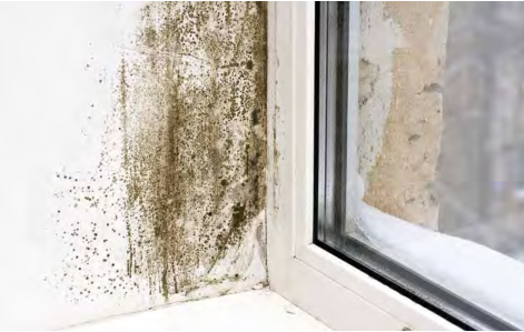 ...ζήσε το παραμύθι σου, στην Ονειρούπολη!!!!