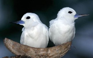 Διήμερο βιωματικό σεμινάριο  Ψυχοδράματος 