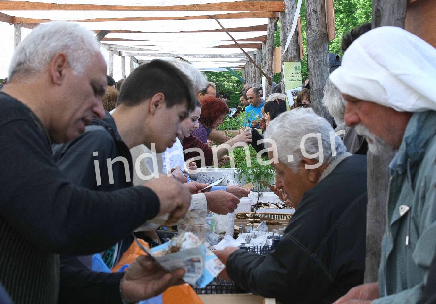 Πανηγυρίζει τον τίτλο με νίκη στην Κρήτη επί του Εργοτέλη η ομάδα των Αμαζόνων