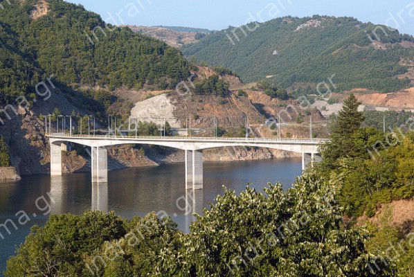 Τα γονίδια και όχι η ανατροφή διέπουν την ευφυΐα