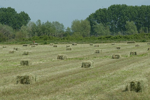 Νέων:Ε.Π.Σ.Ξάνθης - Ε.Π.Σ.Δράμας  0-2