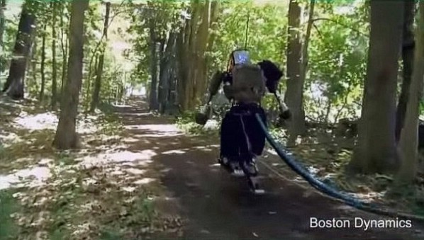 Σημαντική ανανέωση στο ρόστερ των Αμαζόνων