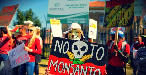 Εξαίρεση ζήτησε η Ελλάδα από τα μεταλλαγμένα της Monsanto No to GMO