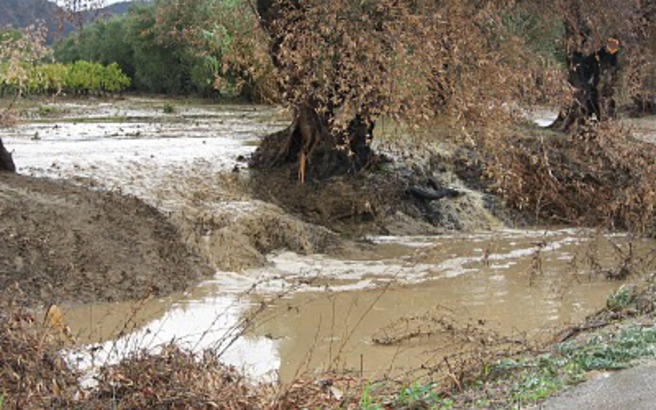 Σαλάτα ρόκα με κοτόπουλο και αβοκάντο