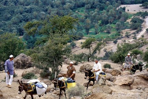 Εγκρίνονται 25 επιχειρησιακά προγράμματα Ομάδων Παραγωγών