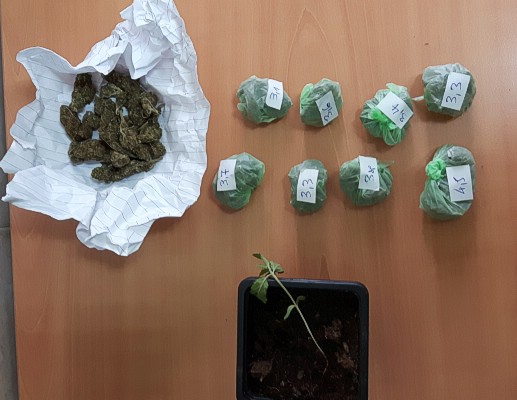 Σύλληψη ημεδαπoύ για καλλιέργεια φυτού κάνναβης και κατοχή ναρκωτικών