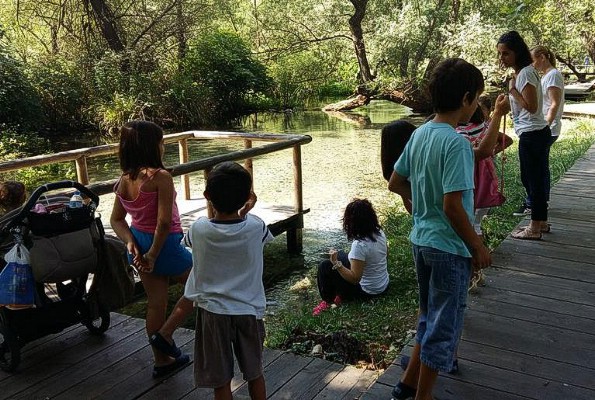 Ένα βήμα πριν την είσοδο στην τετράδα η ομάδα χάντμπολ της  Δράμα 1986.