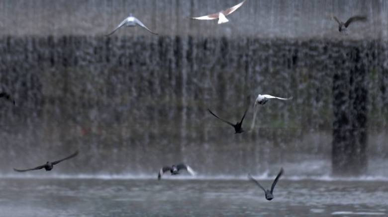 Εκλογές των περιφερειακών οργάνων του ΠΑΣΟΚ που διεξήχθησαν στις 26-06-2016 στο Ν. Δράμας