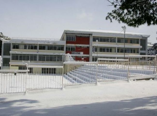 Αυτοκόλλητα για να μη χάνονται οι ηλικιωμένοι με άνοια