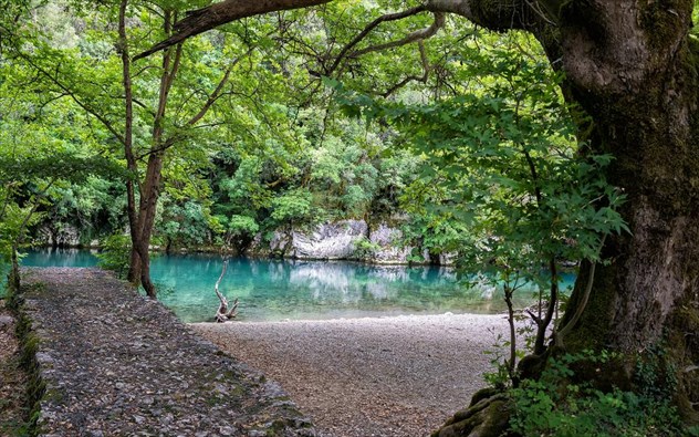 Χταπόδι ψητό στο φούρνο και σάλτσα από το ζουμί του