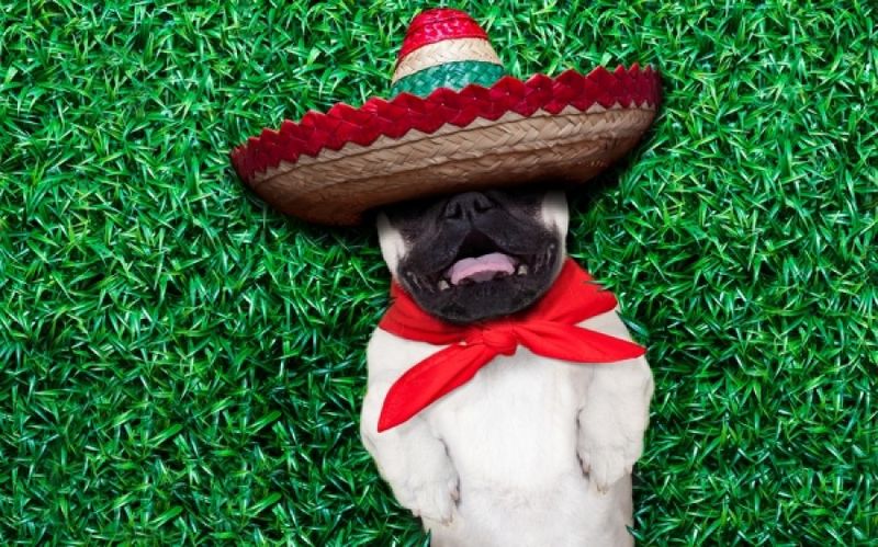 Σπιτικό μιλφέιγ