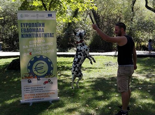 Έτσι ζεσταίνετε σωστά το περισσευούμενο φαγητό