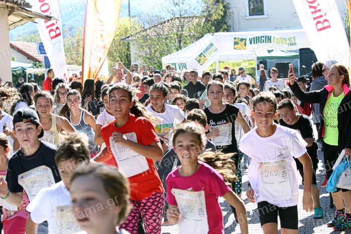 Σύλληψη ημεδαπού για κλοπή