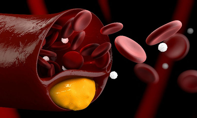 ΔΟΞΑ 2016 – Α.Ο.Καβάλας ’86