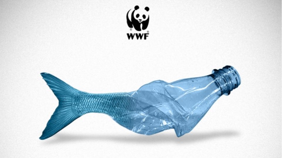 Kρούσμα Οζώδους δερματίτιδας των βοοειδών στην Περιοχή Ανδριανούπολης