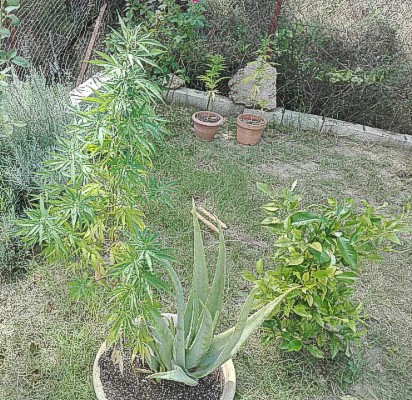 Η ώρα του «λογαριασμού» για τρία εκατομμύρια νοικοκυριά