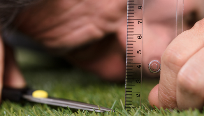 Τελειομανία