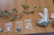 Συνελήφθη ημεδαπός κατηγορούμενος για καλλιέργεια και κατοχή ναρκωτικών