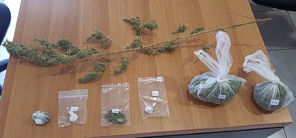 Συνελήφθη ημεδαπός κατηγορούμενος για καλλιέργεια και κατοχή ναρκωτικών