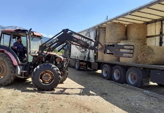 Συλλογή ζωοτροφών για τους πυρόπληκτους κτηνοτρόφους της Πελοποννήσου από την Αντιπεριφέρεια Δράμας-Ευχαριστήριο Μήνυμα του Αντιπεριφερειάρχη Δράμας κ.Γεώργιου Παπαδόπουλου