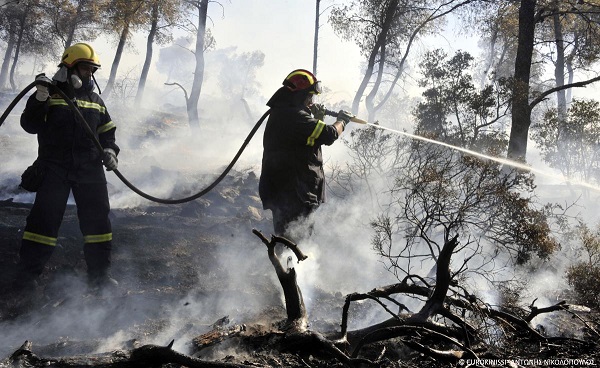 Απολογισμός Αντιπυρικής Περιόδου 2021