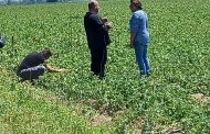 Είμαστε δίπλα κι έμπρακτα  στους αγρότες μας.