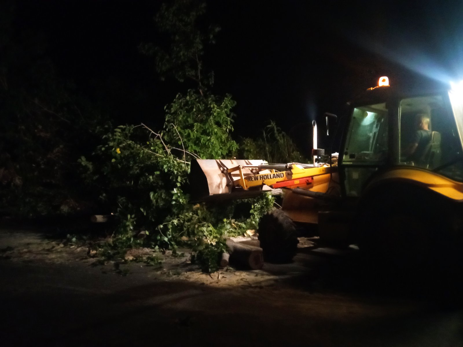 Πτώση δέντρων λόγω θυελλωδών ανέμων